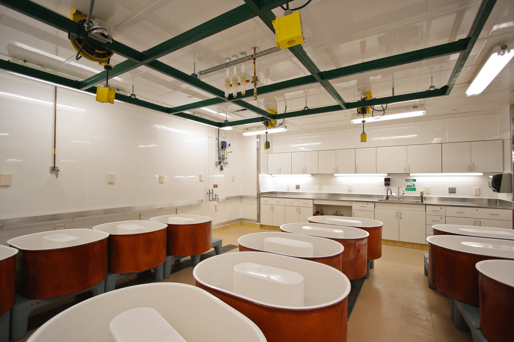 Arcoplast. Vivarium aquatic tanks.